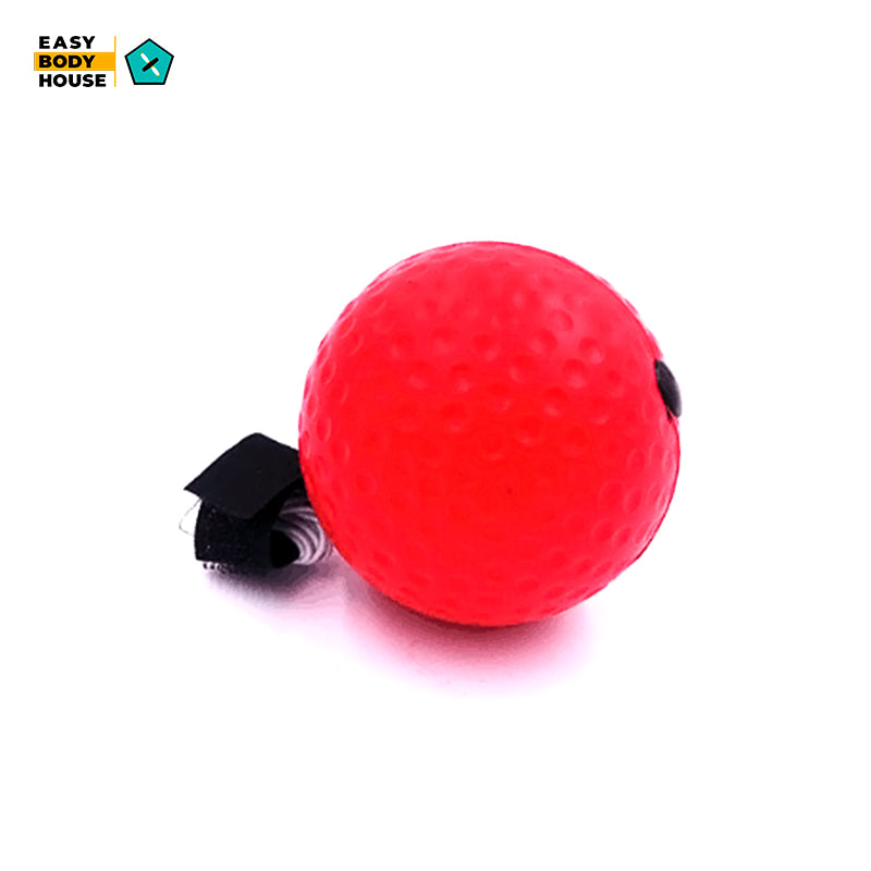 Boxing Reflex Ball