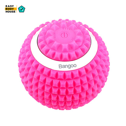 Vibrating Massage Ball